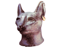 ANFI Piemonte - Valle d'Aosta - Dea Bast