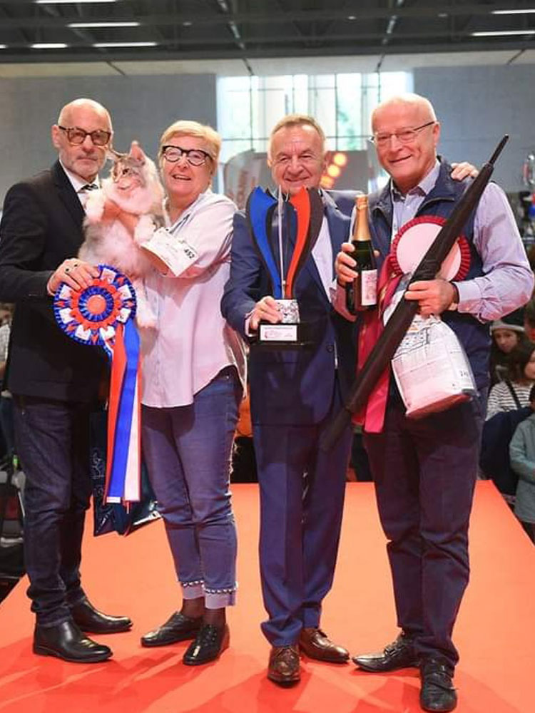 Allevamento di Chiaramaio Mai