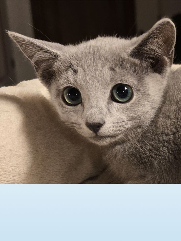 Allevamento Della Cebrosa