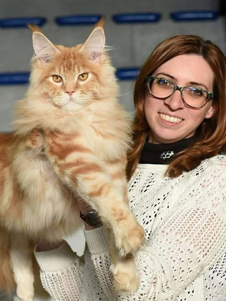 Allevamento Terre di Azeban