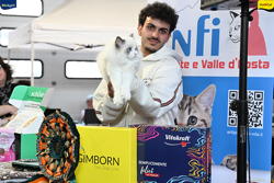 Expo Feline Moncalieri
