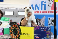 Expo Feline Moncalieri