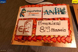 Expo Feline Moncalieri
