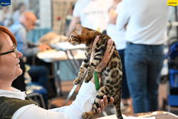 Expo Feline Moncalieri