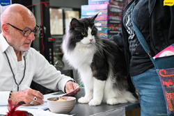 Expo Feline Moncalieri