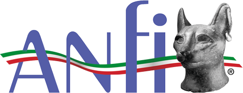 Anfi Piemonte - Valle d'Aosta logo