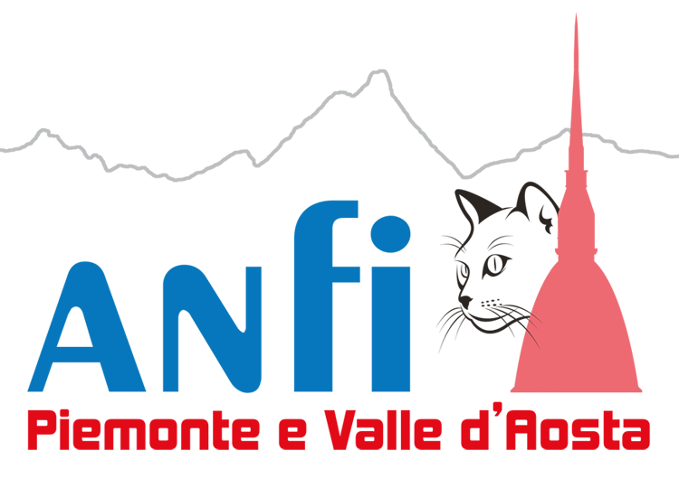 Anfi Piemonte - Valle d'Aosta logo