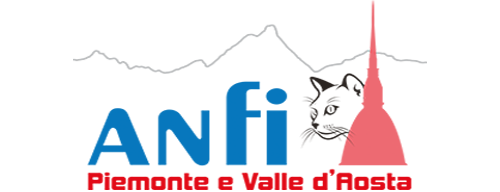 Anfi Piemonte - Valle d'Aosta logo